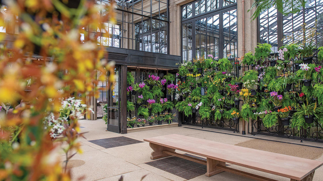Pennsylvania’s Longwood Gardens Restores Its CenturyOld Orchid House